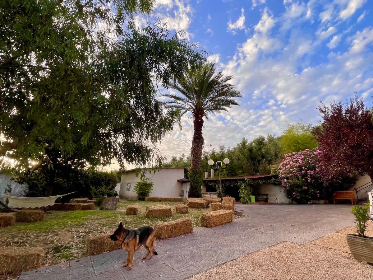 Aparthotel Donna Vittori - Borgo Agricolo Paliano Exteriér fotografie
