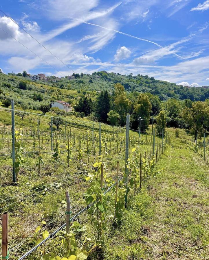Aparthotel Donna Vittori - Borgo Agricolo Paliano Exteriér fotografie