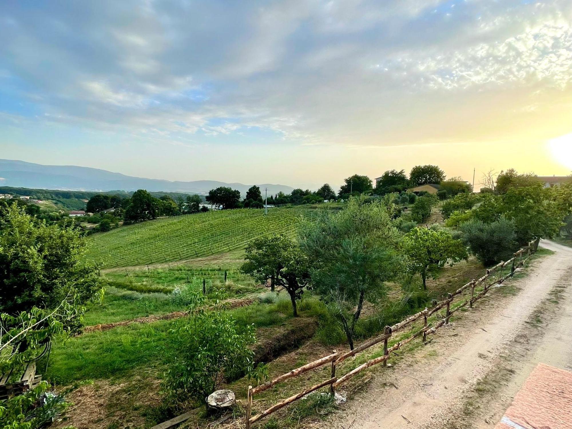 Aparthotel Donna Vittori - Borgo Agricolo Paliano Exteriér fotografie
